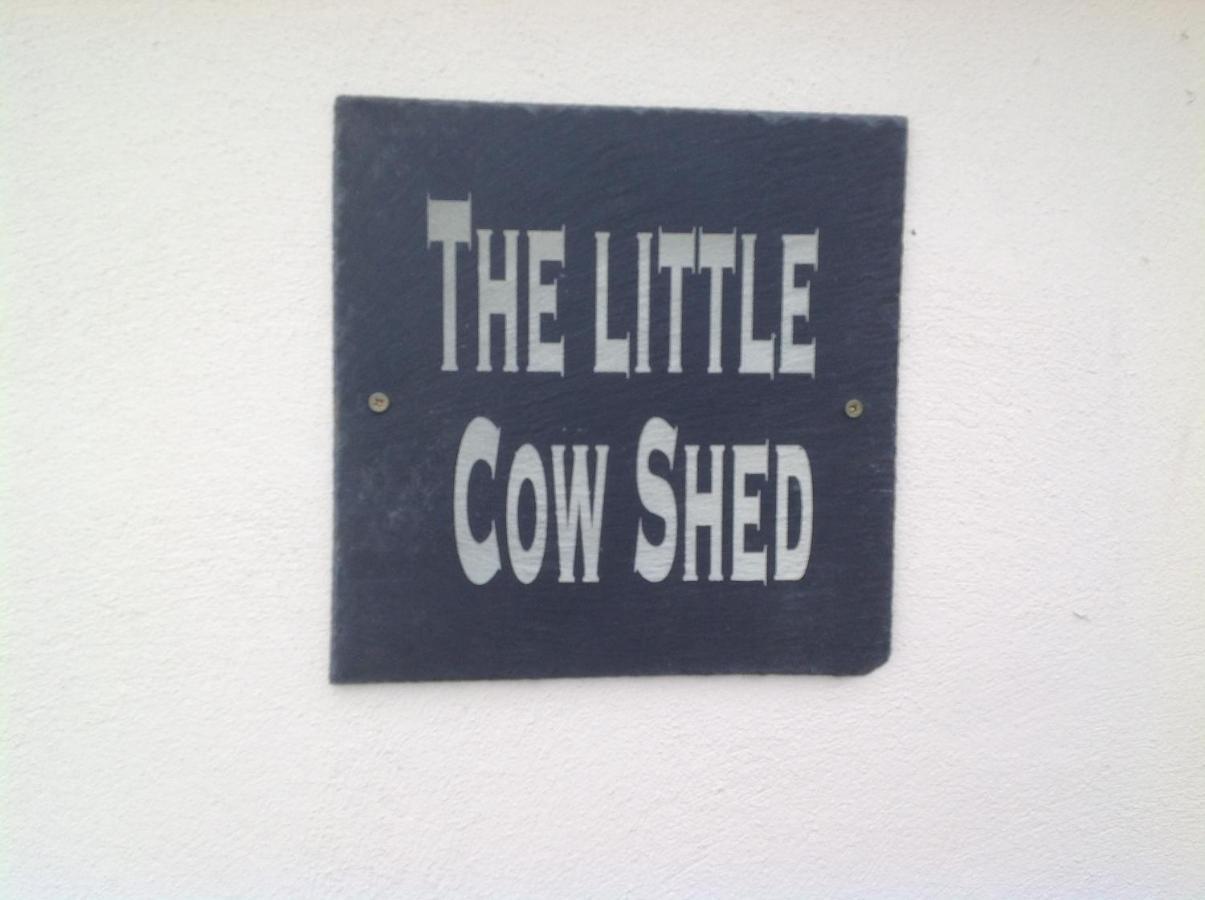 The Little Cow Shed Villa Swansea Kültér fotó
